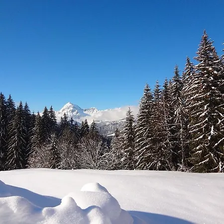 Horská chata Chalet Varni *